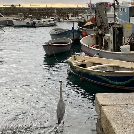 Grande Dimora D'epoca Vista Mare *